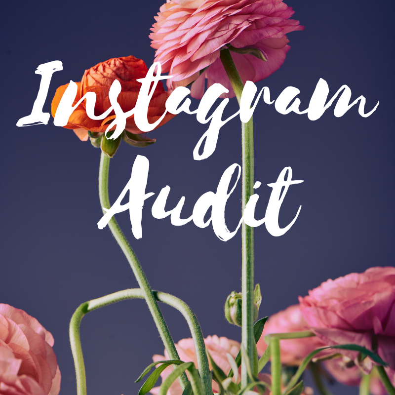 Instagram AUDIT - Lisa Buscomb