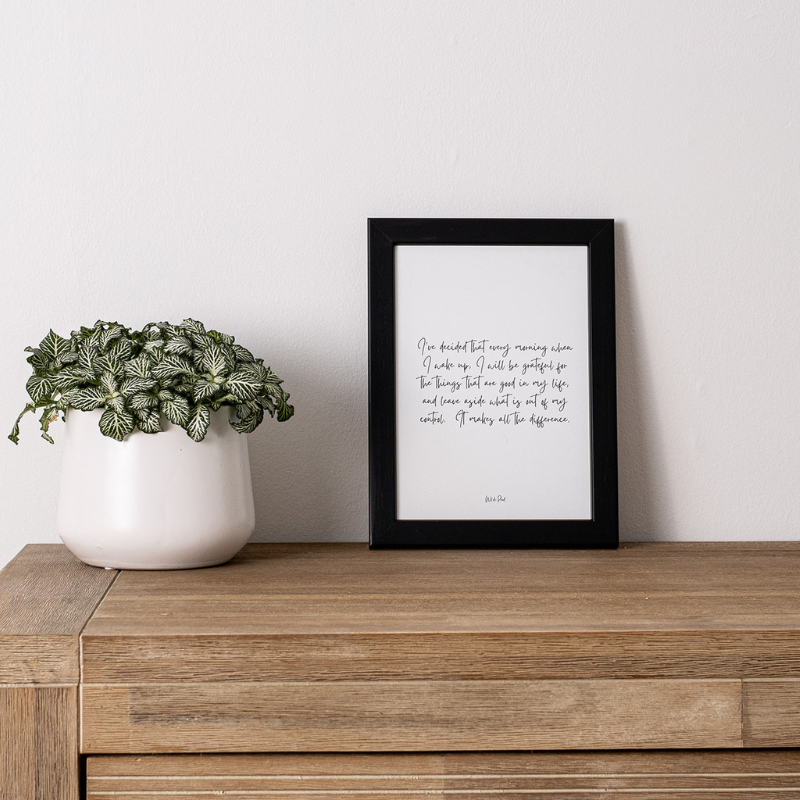 The Daily Collection